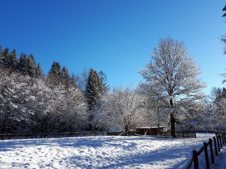 Winter❄❄