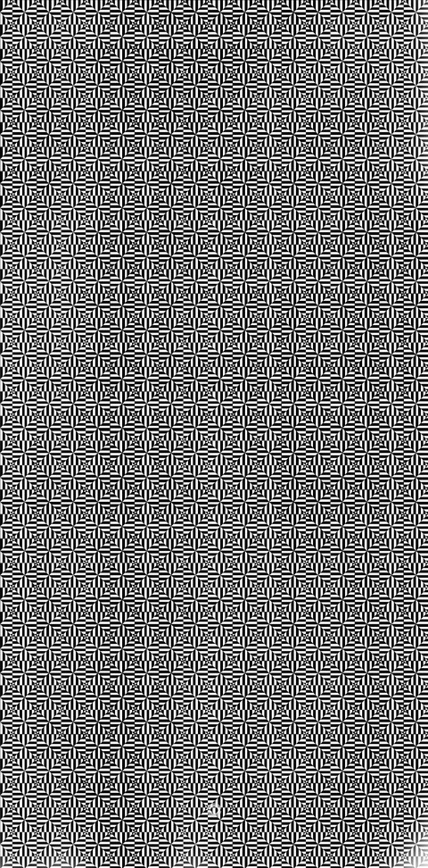 illusion that make you confused
