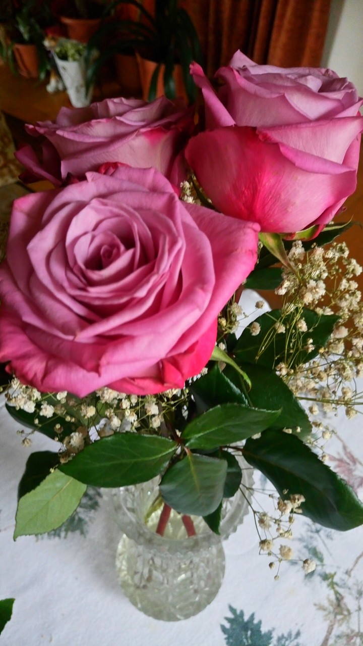 rose