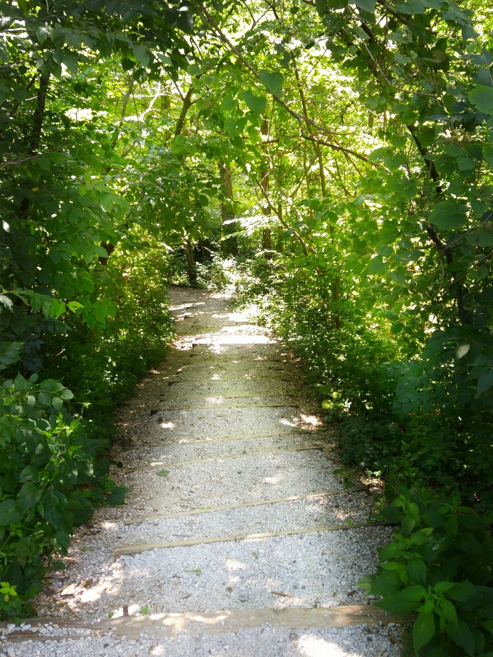 The Shortcut