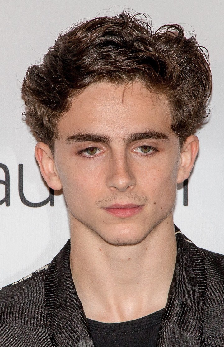 timothee chalamet