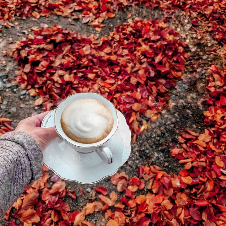 ⚀☘ ☕