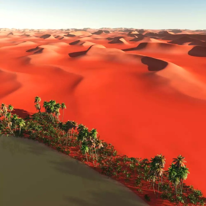 Oasis