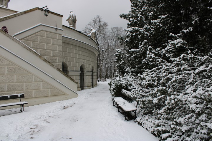 Winter