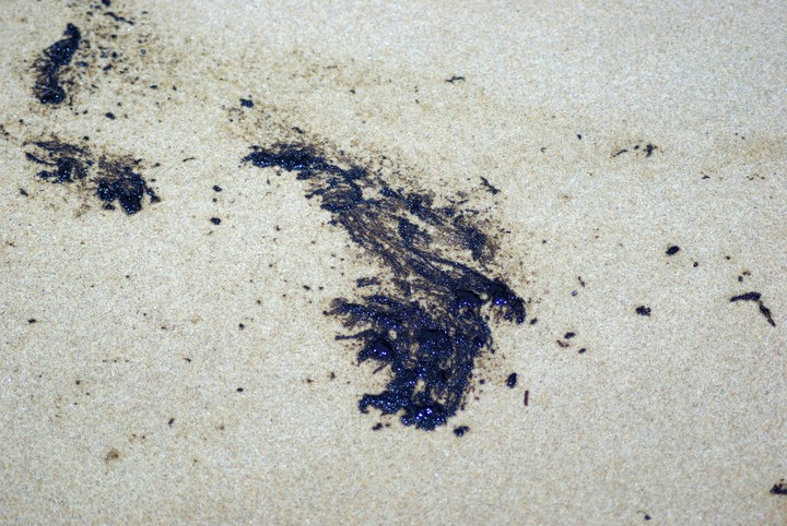 Environment