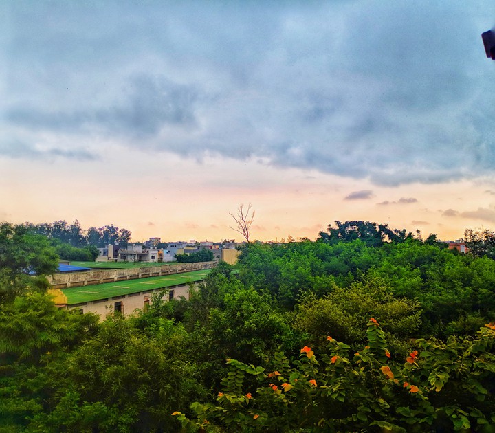Mausam