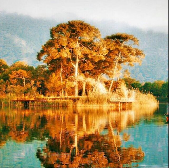 reflection
