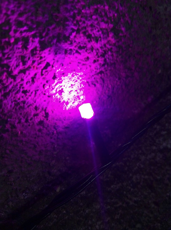 Lights