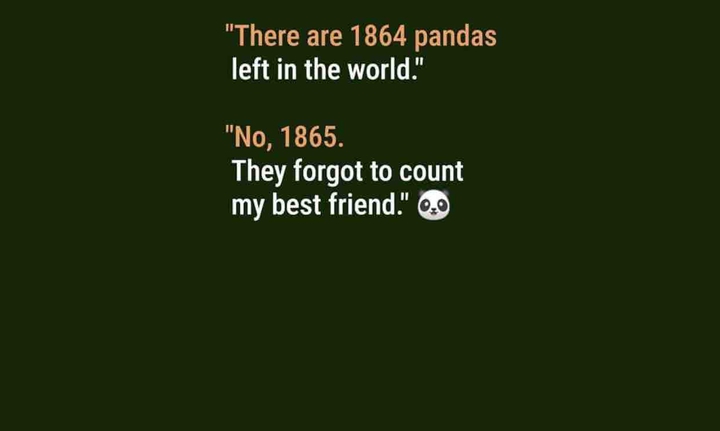 mera extra large panda?❤️