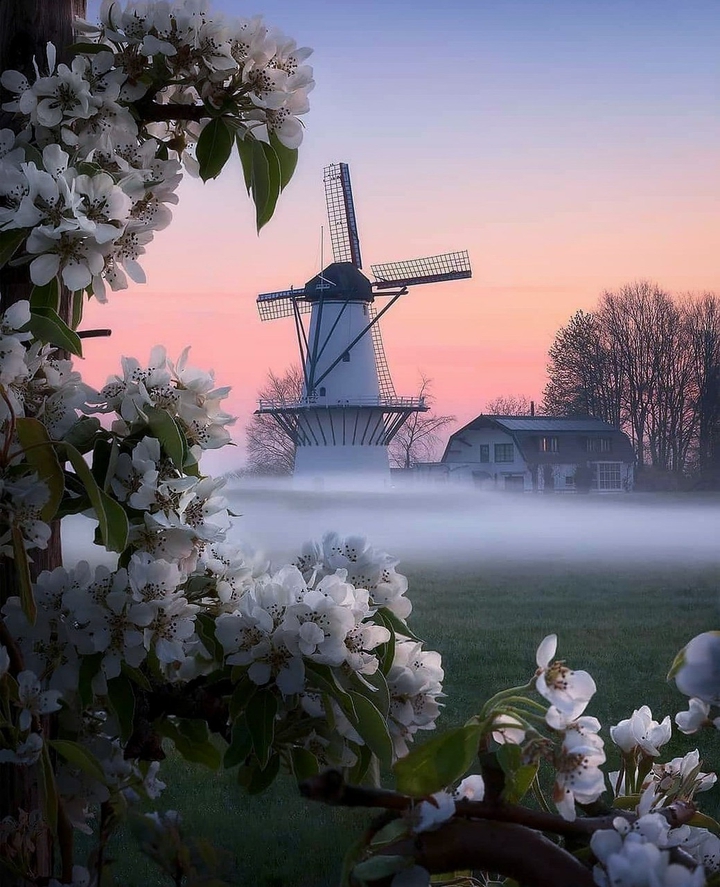 windmill