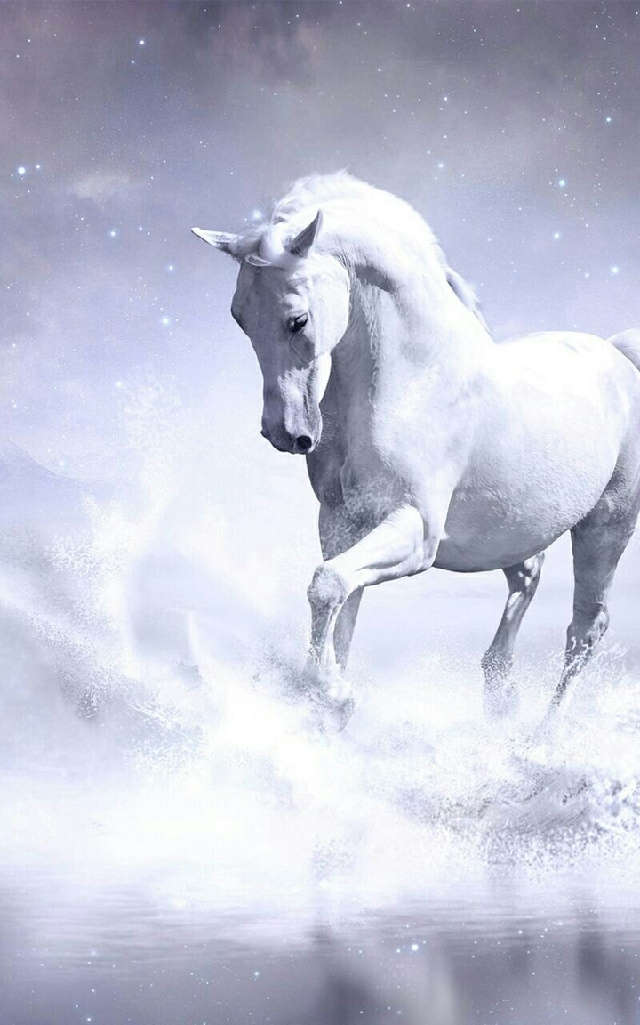 horse