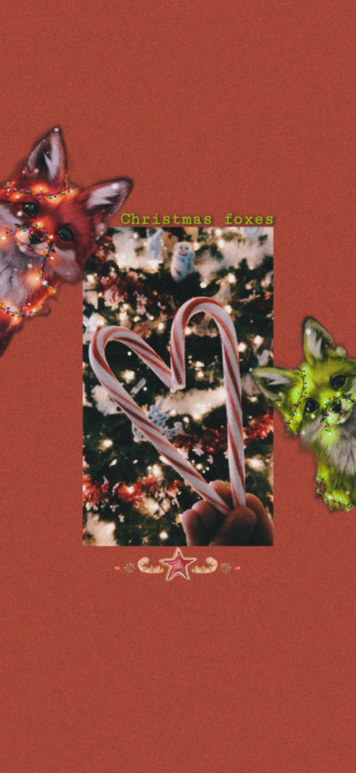 christmas foxes