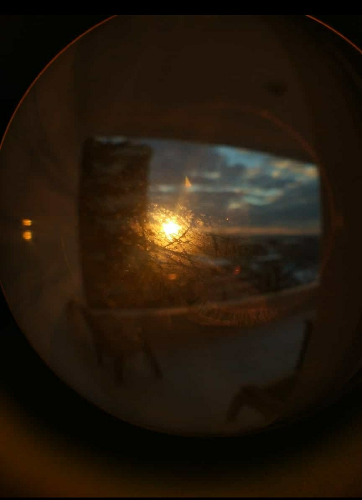 horses eye