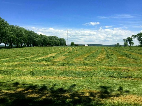 Hand shake deals, fresh cut hay fields, and hometowns