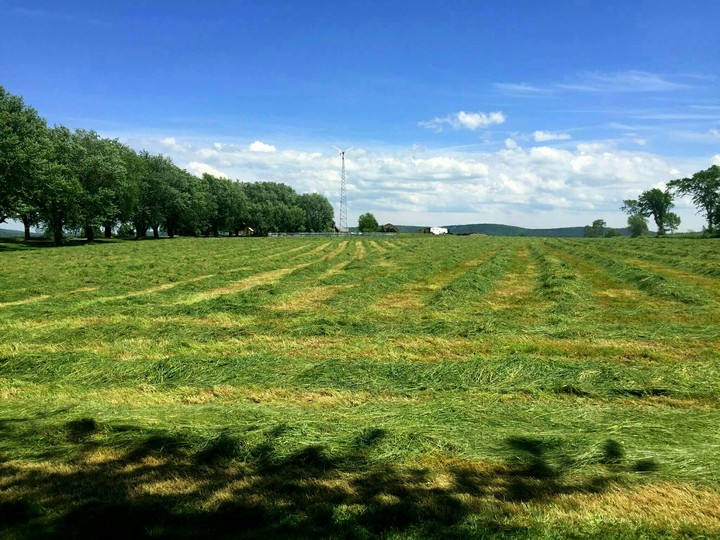 Hand shake deals, fresh cut hay fields, and hometowns
