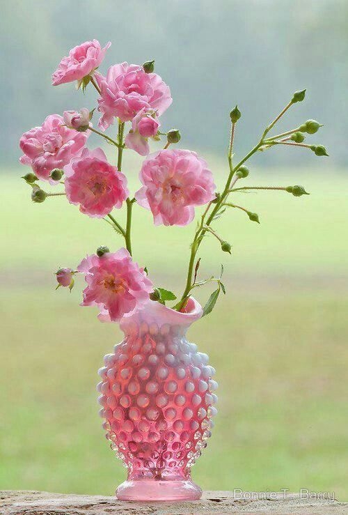 spring flowers