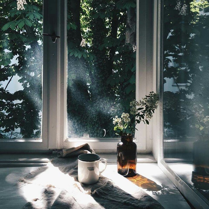 morning dream