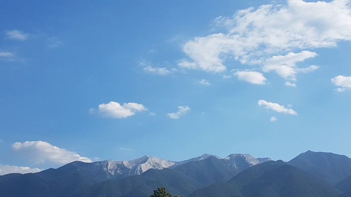 Redenka