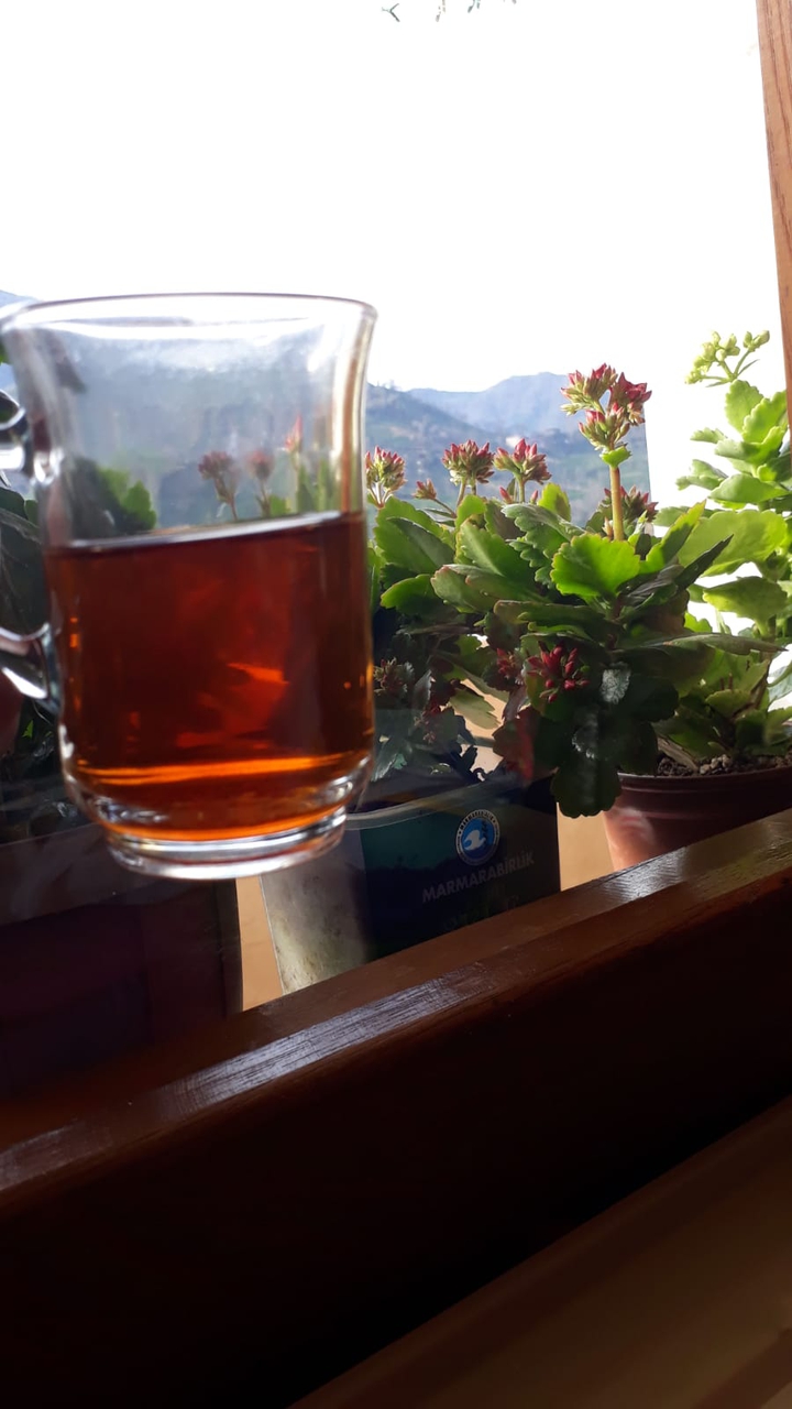 tea