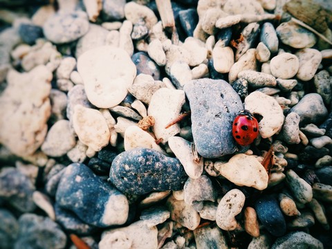 beautiful, pebble háttérképek