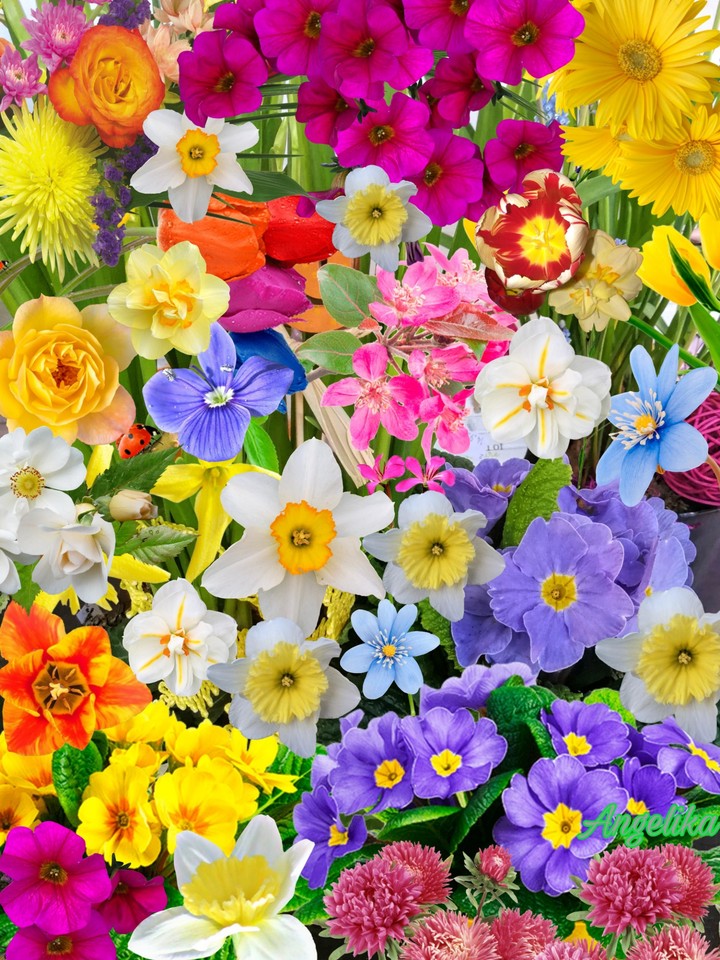 Frühlingsblumenstrauß