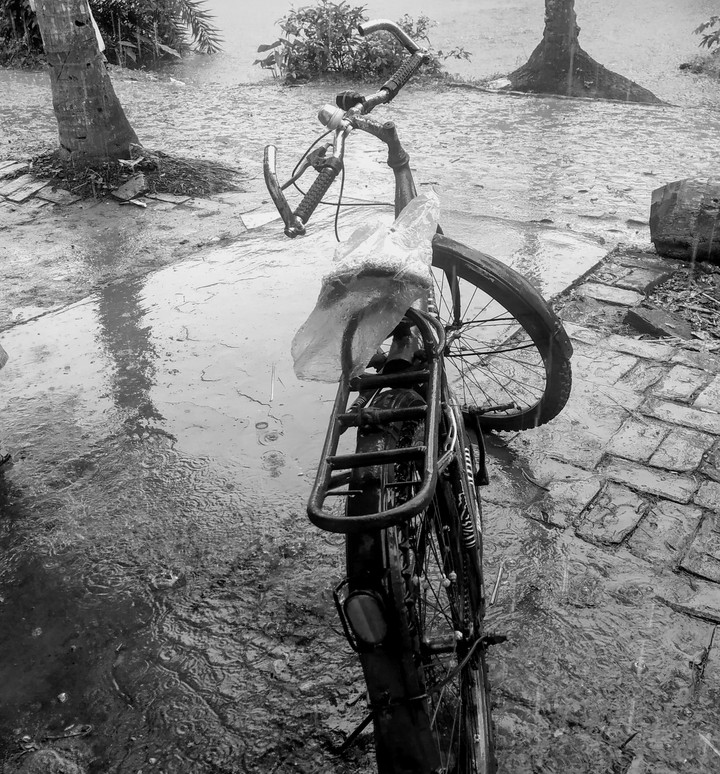 Silver rain