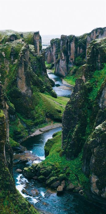 nature