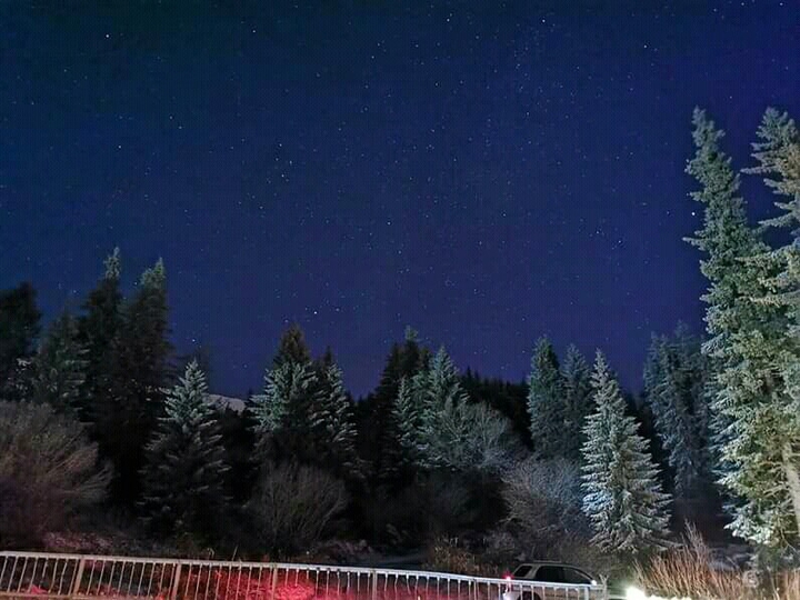 winter night
