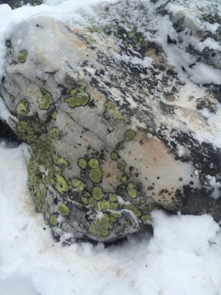 Kvartz. South of the Ural mountains.