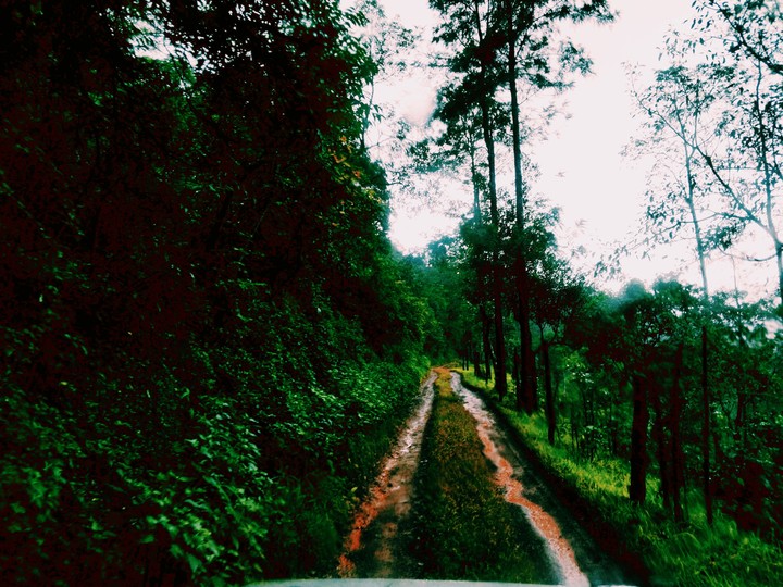 the road not take.n