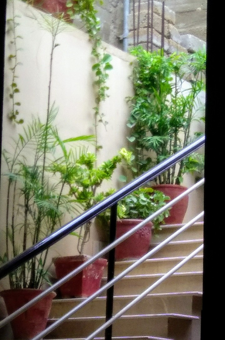 rainy day