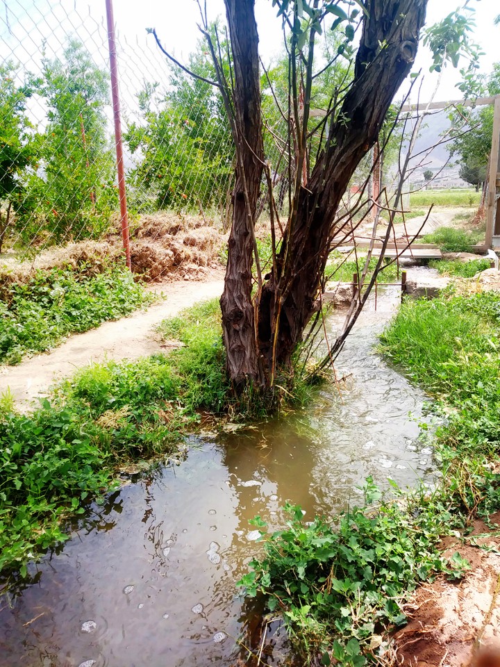 جریان یک زندگی