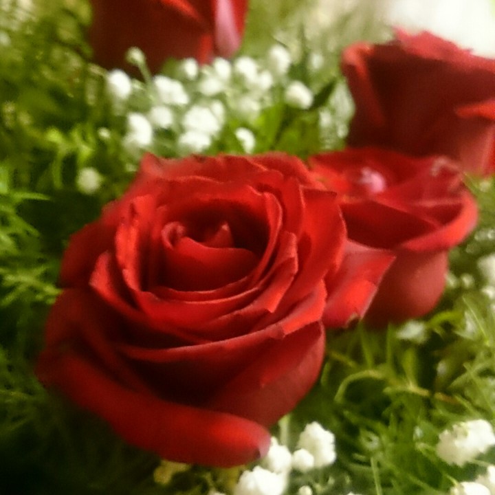 Beautiful flowers