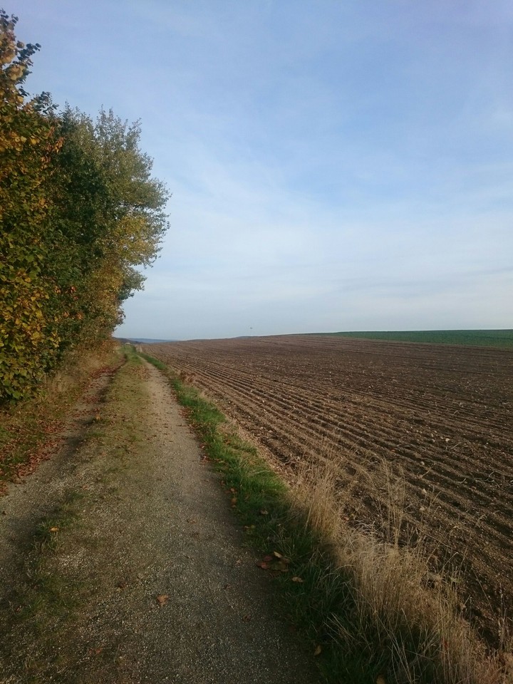 Autumn
