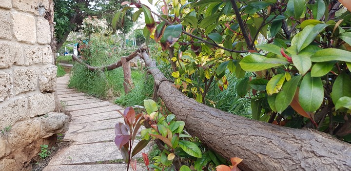 life path
