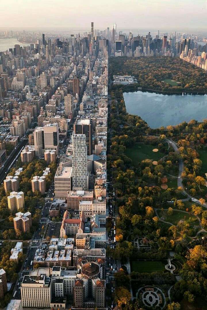 urban vs. nature