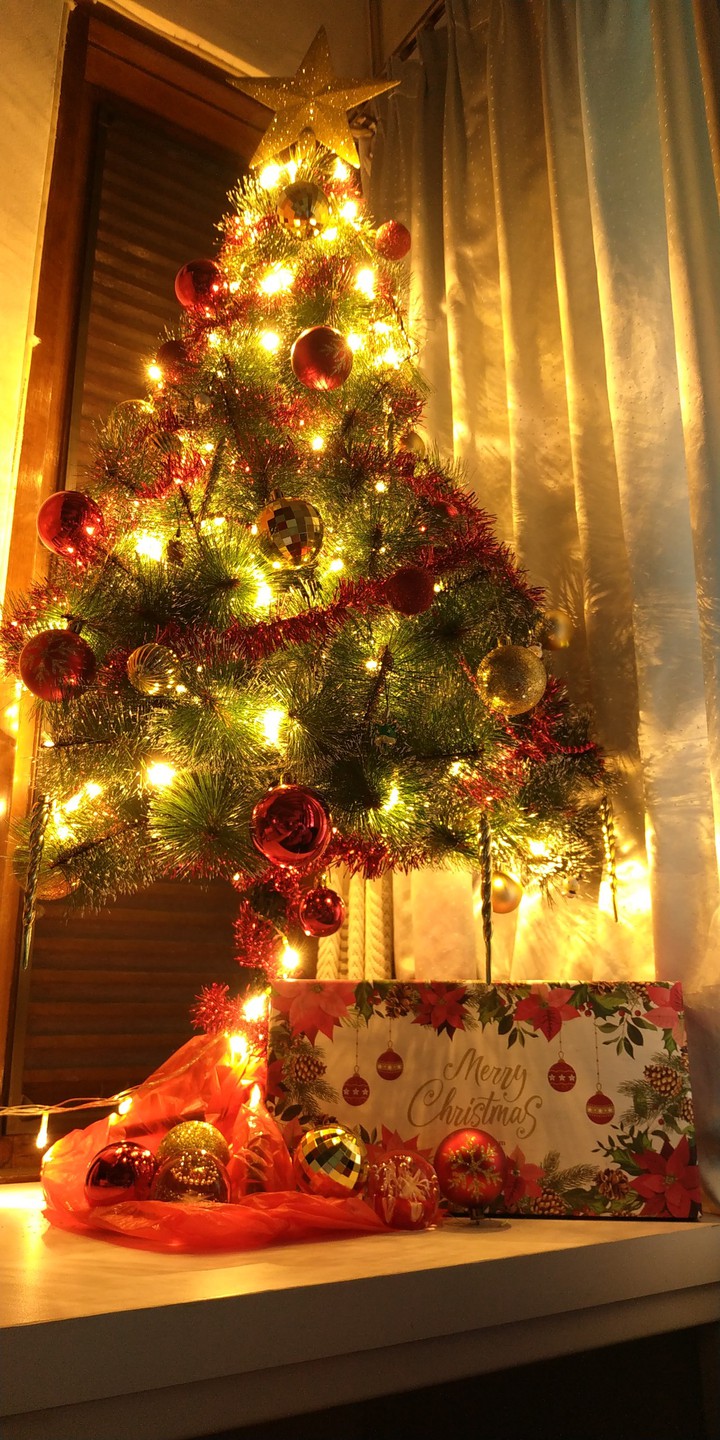 My Christmas Tree