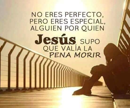 amado