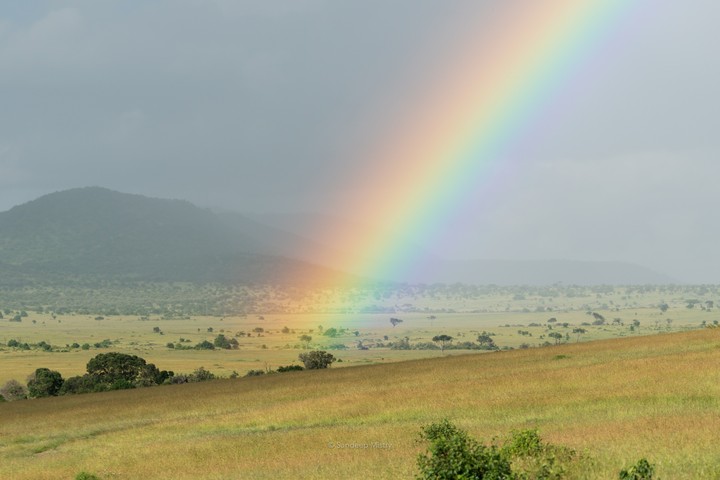 Rainbow