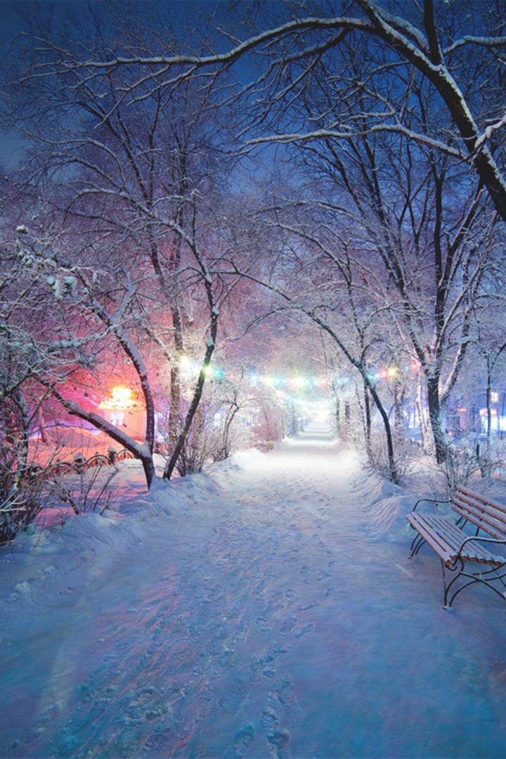 Path