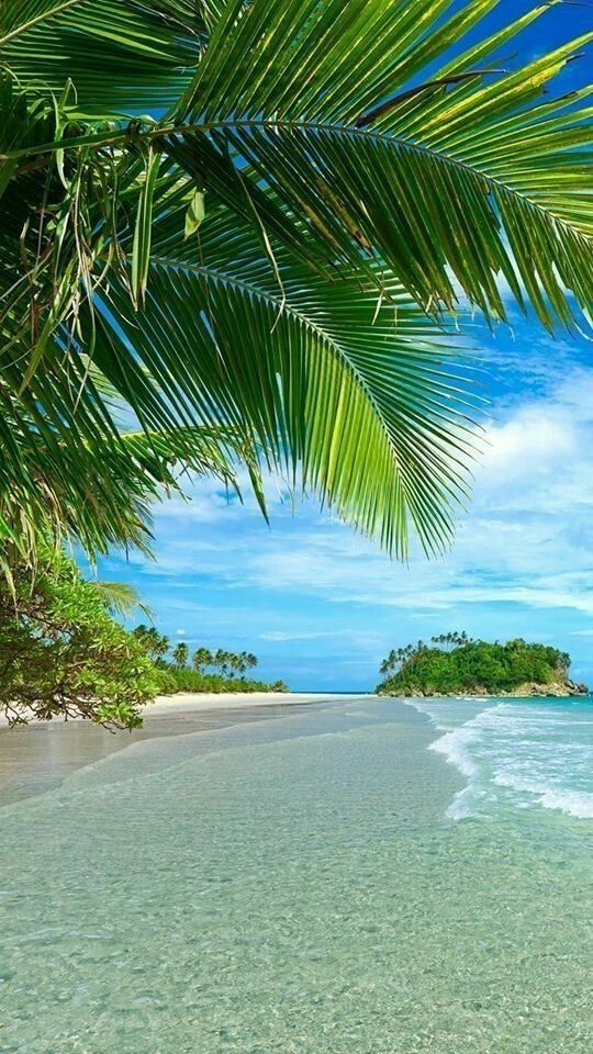 holidays