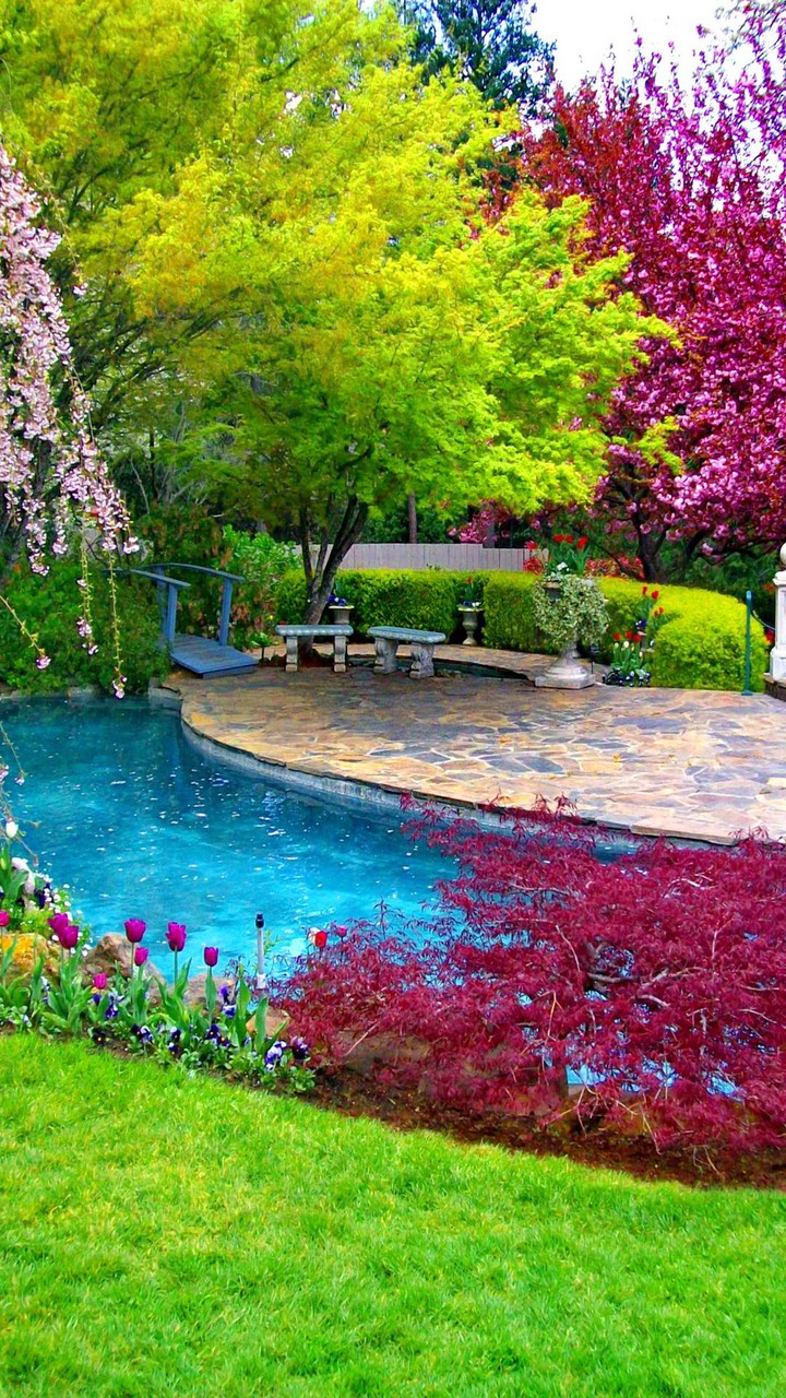 garden
