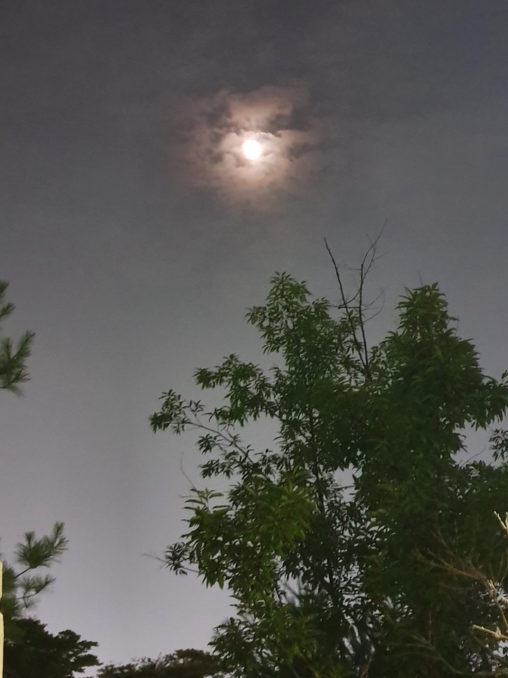 fullmoon