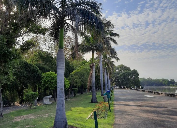 walk