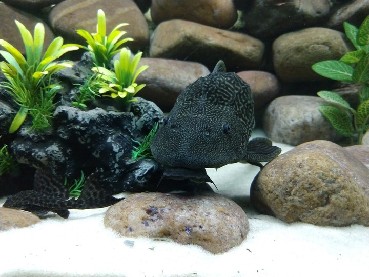 under water
