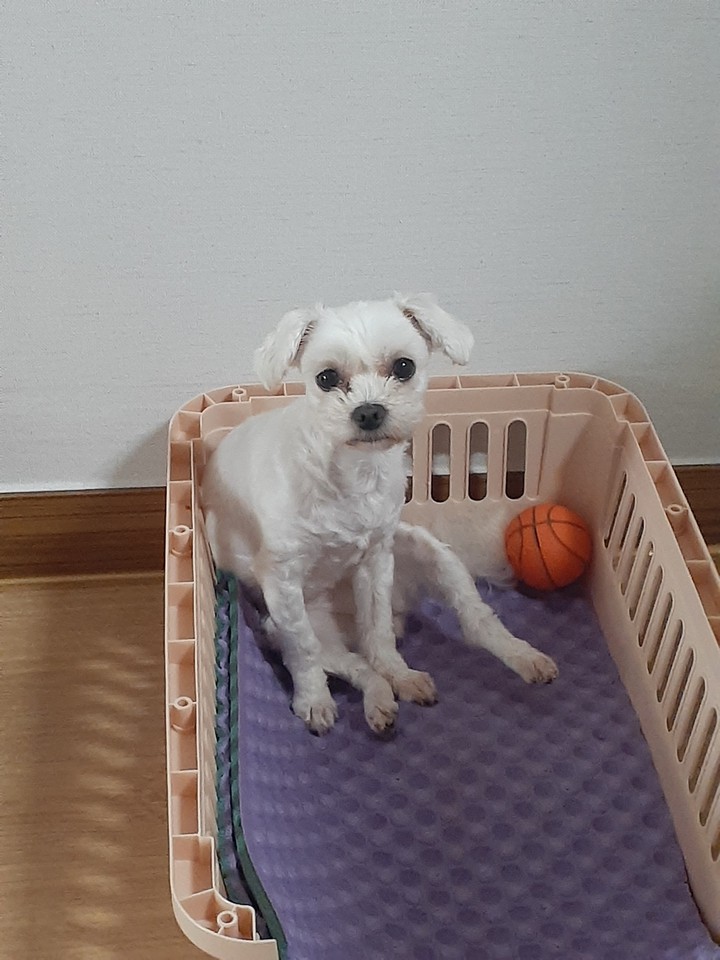 인생 참 살기 힘들다는 표정..ㅋㅋ