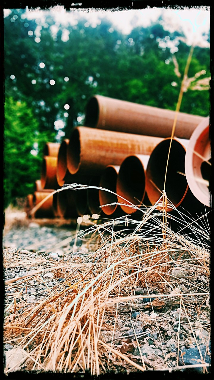 Pipe dreams