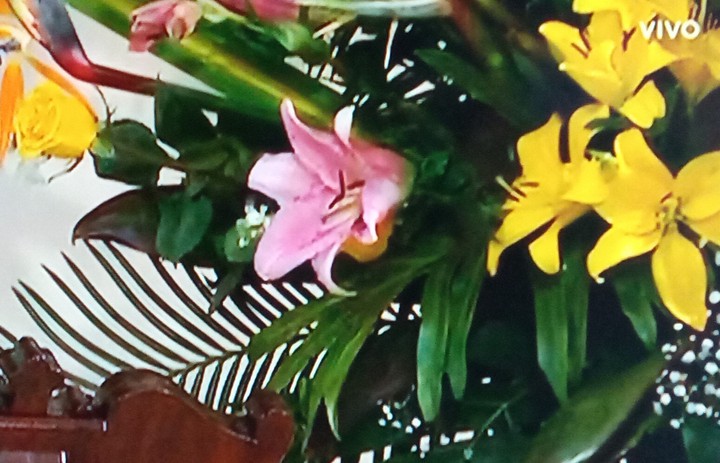 Flores