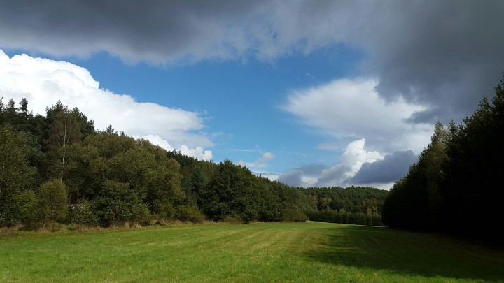 nature