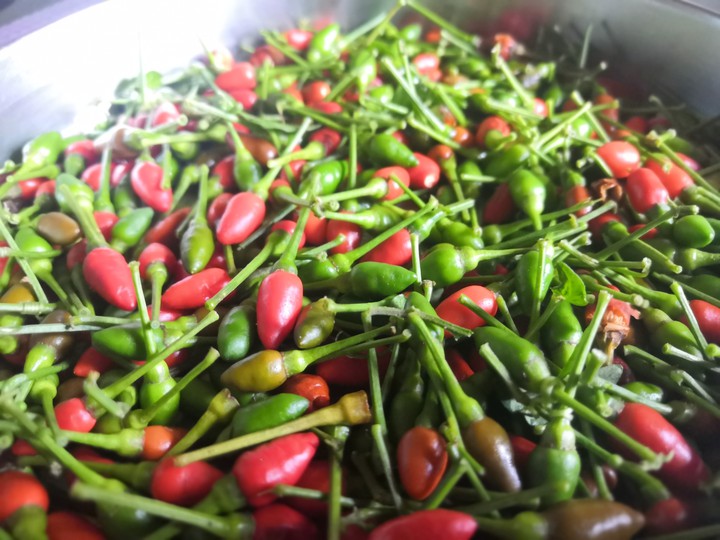 kanthari( small chilli)
